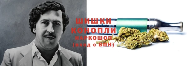 стаф Абаза