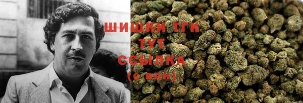стаф Абаза